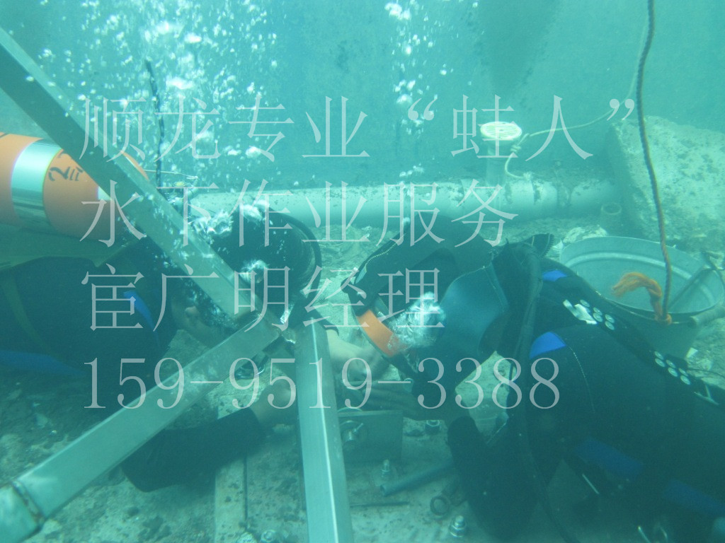 江苏顺龙“蛙人”潜水作业:159-9519-3388 江苏顺龙“蛙人”潜水作业:159-9519-3388